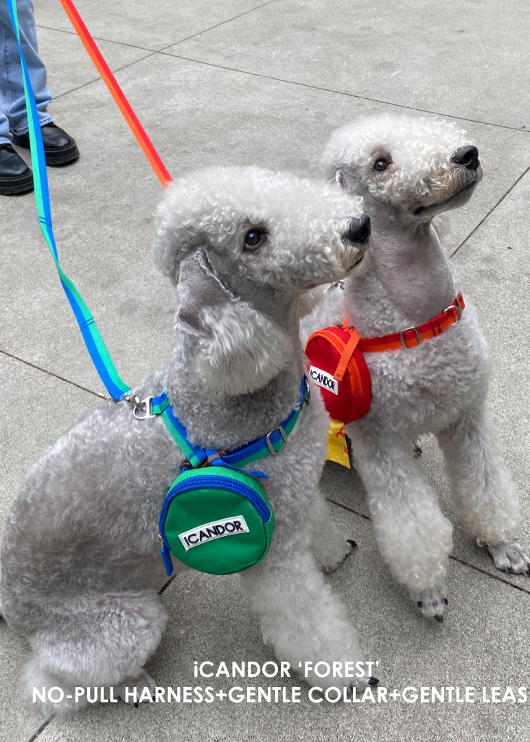 iCandor Dingle Dangle Pouch Bag - Forest