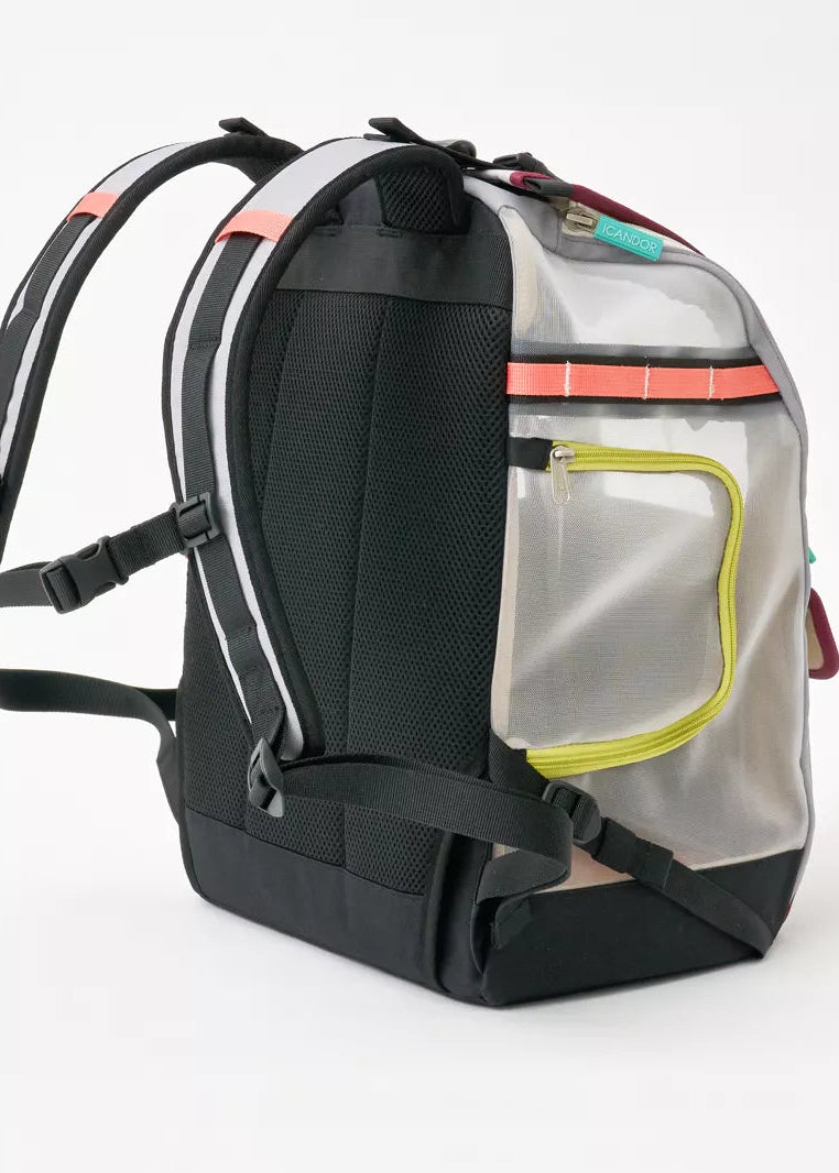 iCandor Jige Pet Travel Backpack