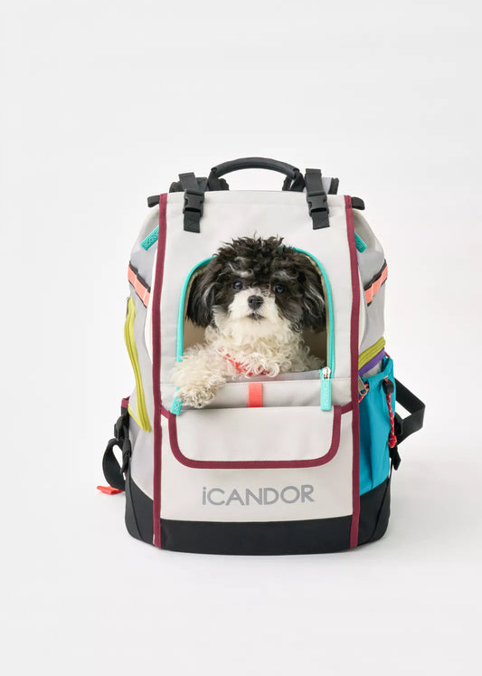 iCandor Jige Pet Travel Backpack