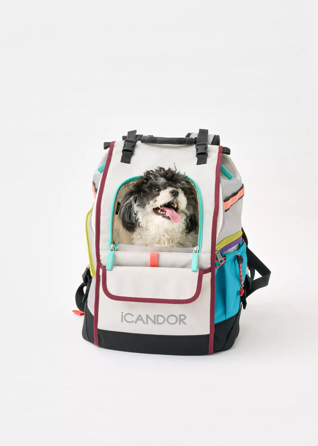 iCandor Jige Pet Travel Backpack