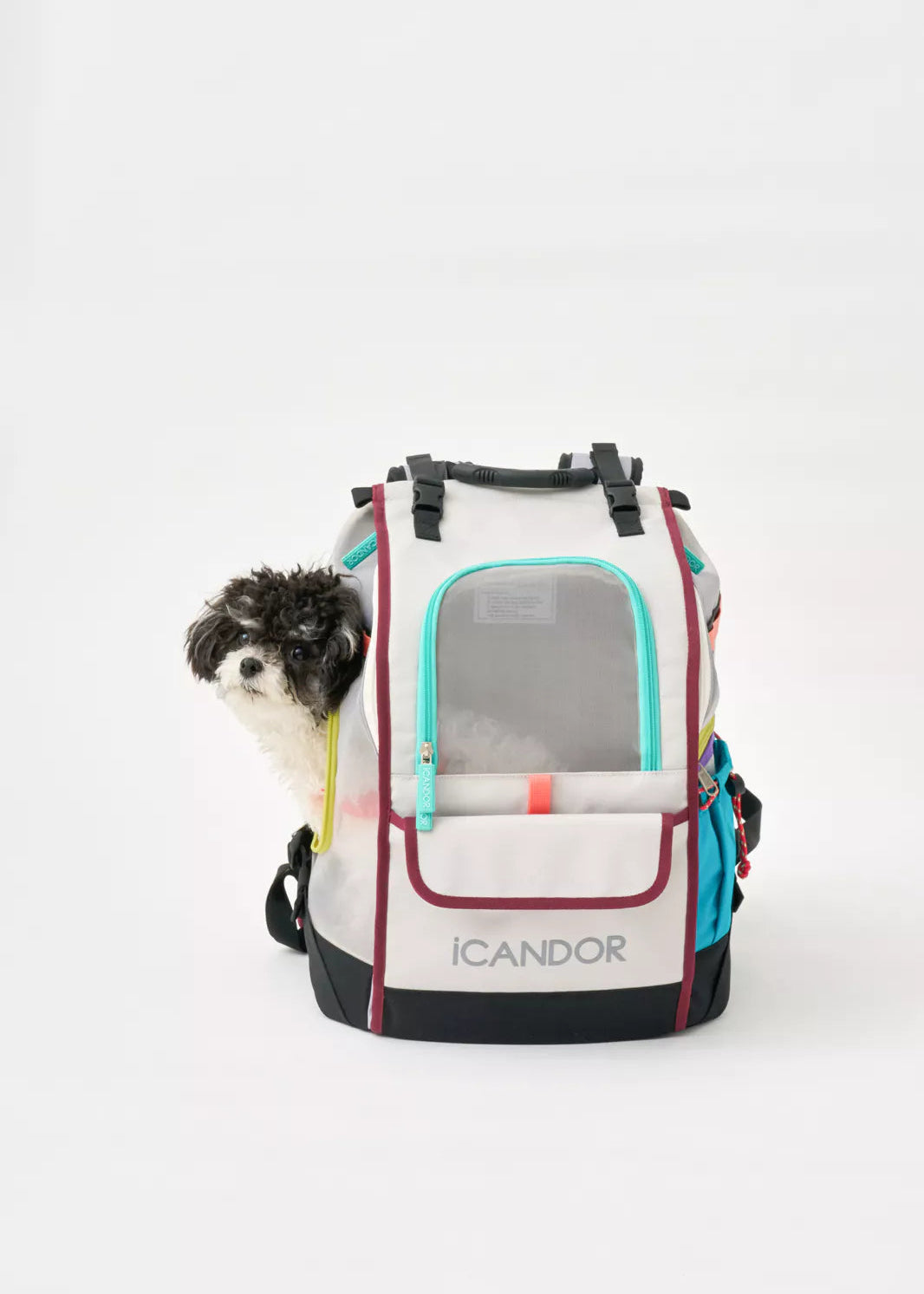 iCandor Jige Pet Travel Backpack