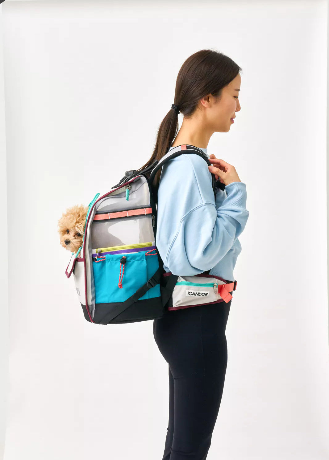 iCandor Jige Pet Travel Backpack