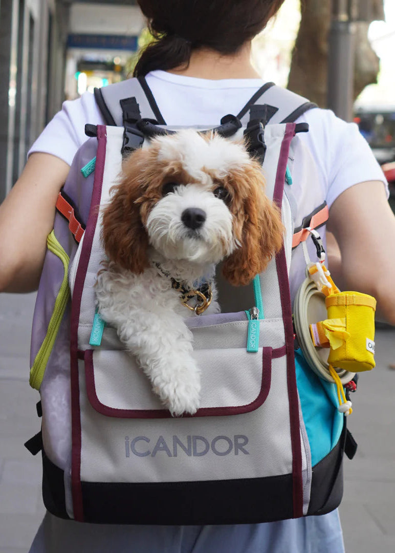 iCandor Jige Pet Travel Backpack