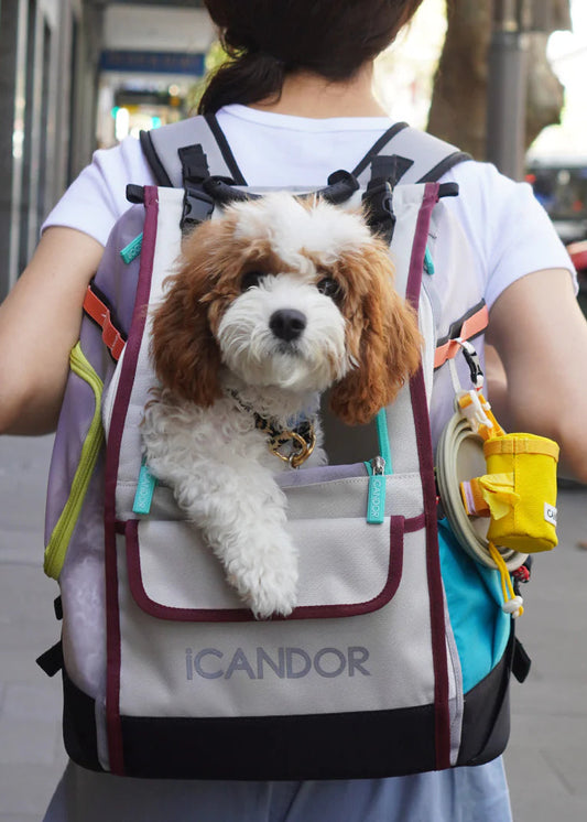 iCandor Jige Pet Travel Backpack