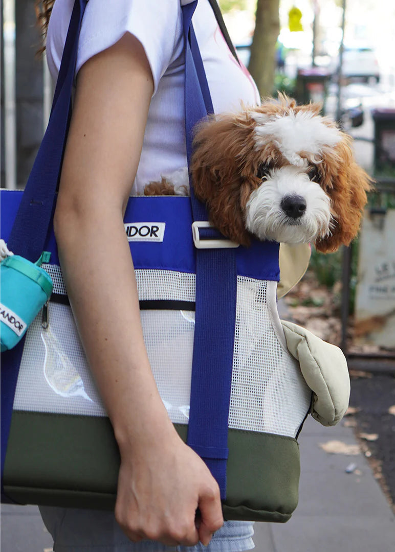 iCandor Brisbane Bag