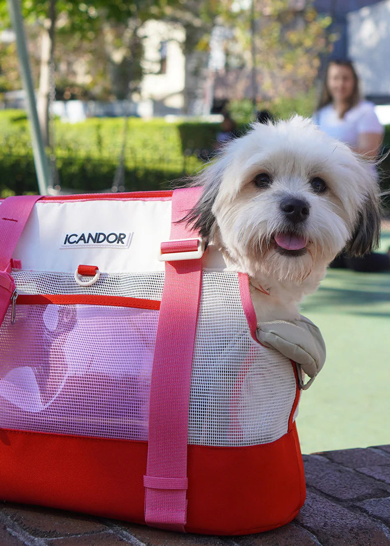 iCandor Brisbane Bag