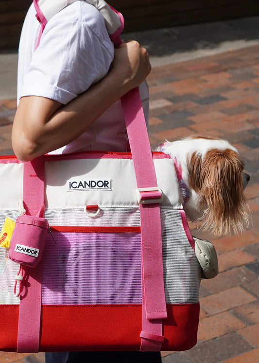 iCandor Brisbane Bag
