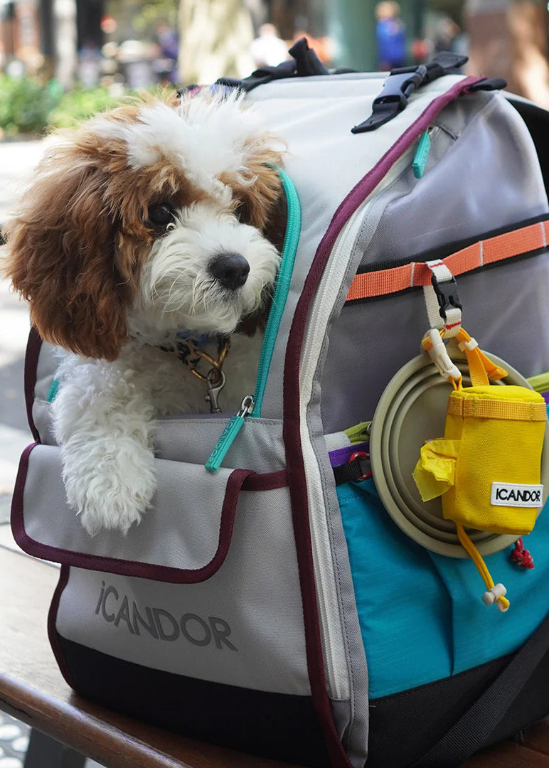 iCandor Jige Pet Travel Backpack