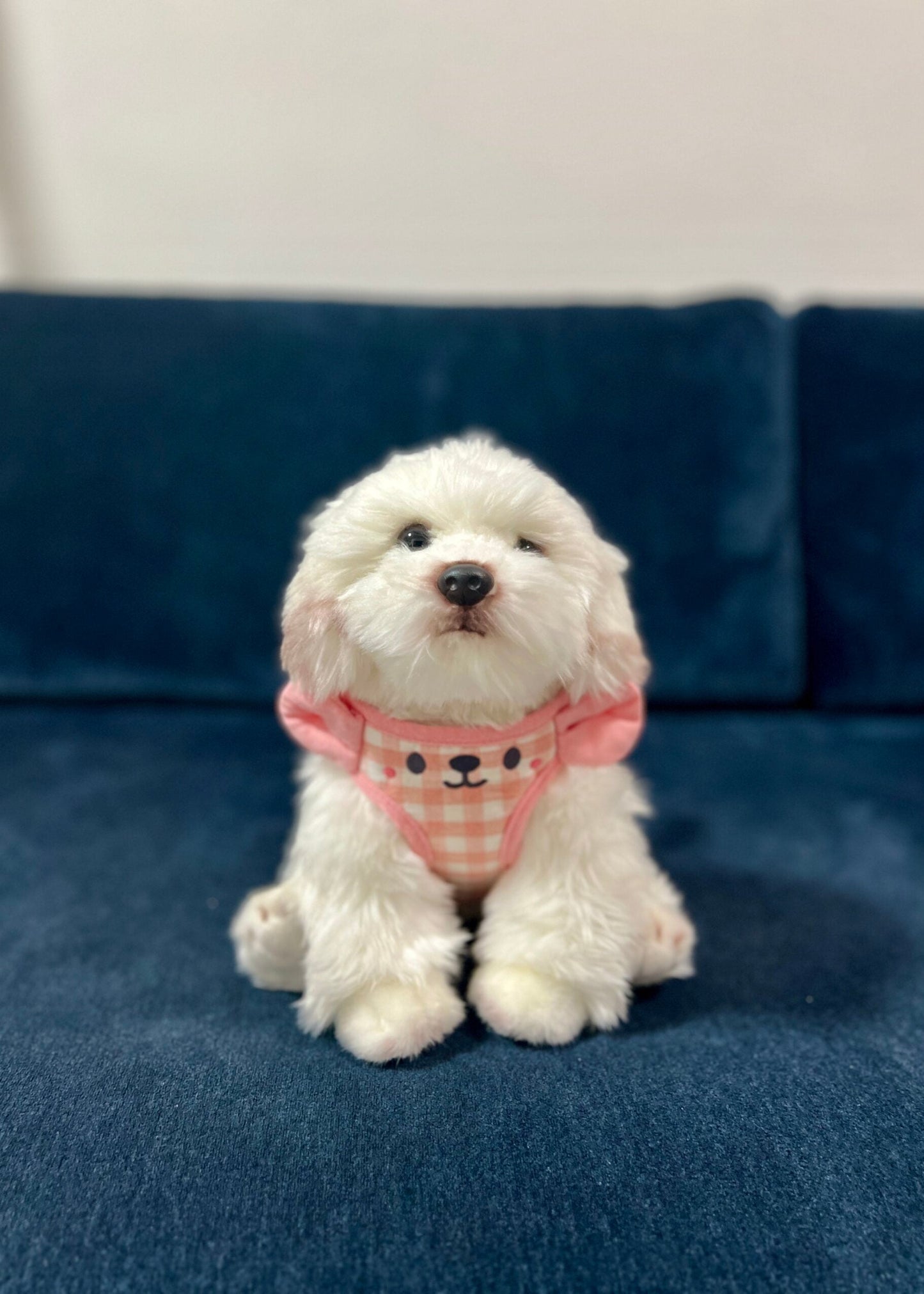 Ritogato Sunvely One-Touch Harness