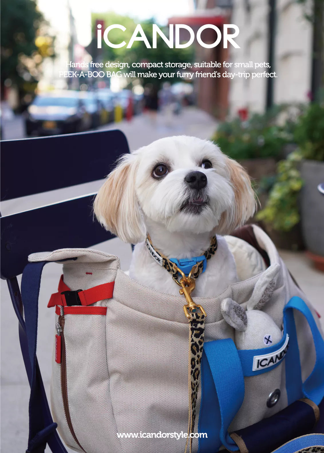 iCandor Peekaboo Bag (2 colours)