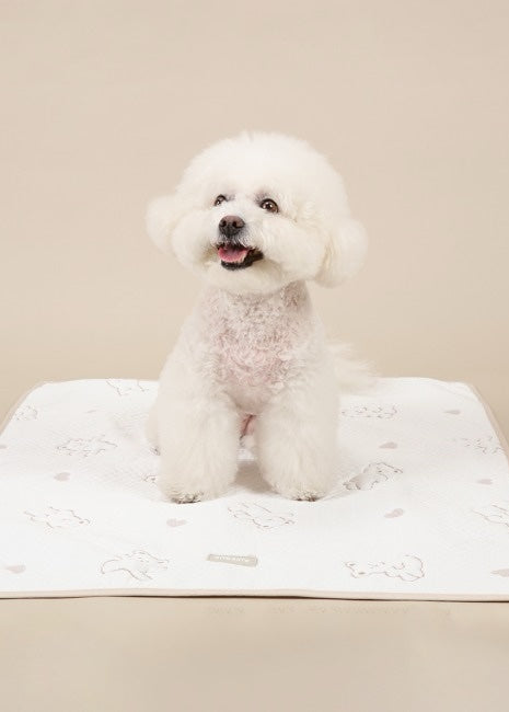 Ritogato Forpe Non-Slip Cool Mat