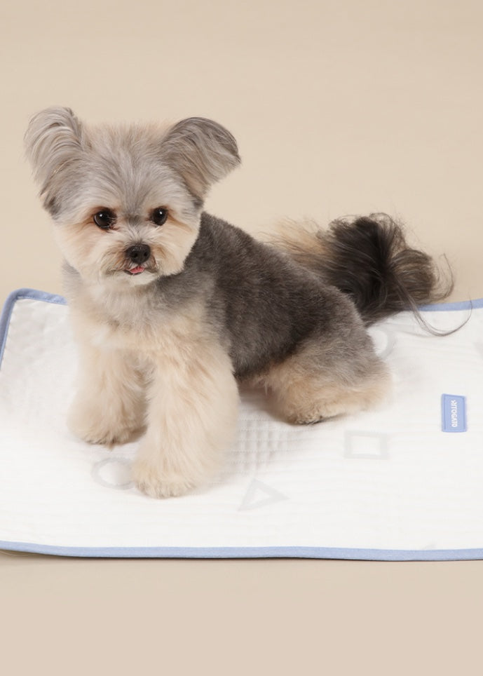 Ritogato Forpe Non-Slip Cool Mat